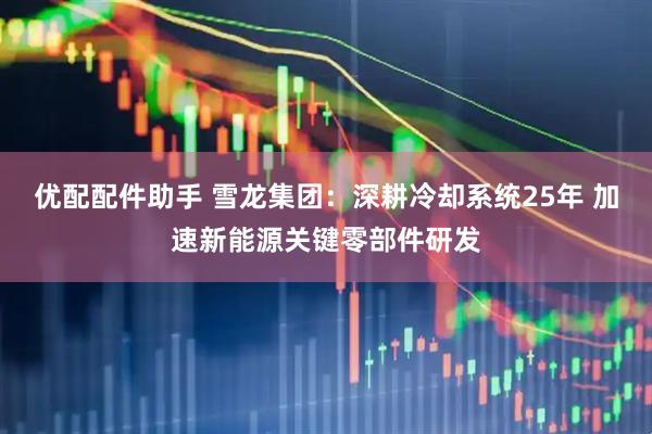 优配配件助手 雪龙集团：深耕冷却系统25年 加速新能源关键零部件研发
