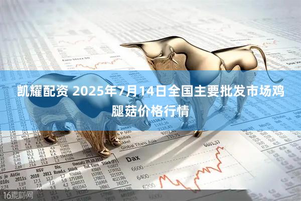凯耀配资 2025年7月14日全国主要批发市场鸡腿菇价格行情