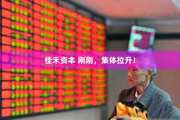 佳禾资本 刚刚，集体拉升！