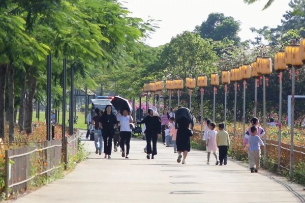 天通盈 免费！周末 东莞桥头七彩花田超热闹！